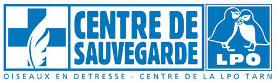 Logo Centre de soin